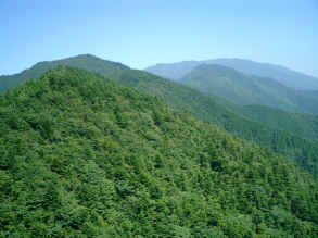 ���x�m�@�{�с@�і�