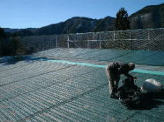 �e�C�N�I�t