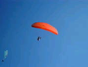 �y�����T�[�}���\�A�����O��